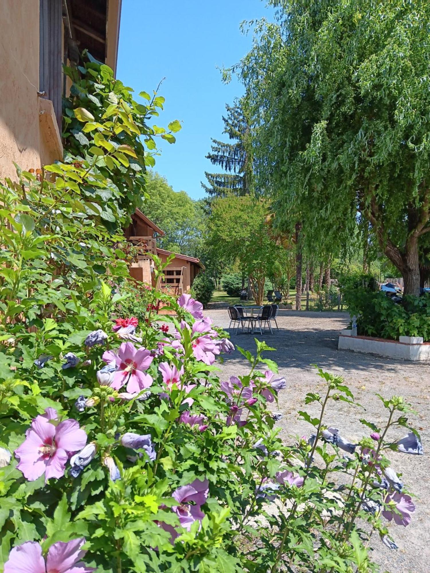 Gite Au Moulin Du Comte Bourrouillan Экстерьер фото